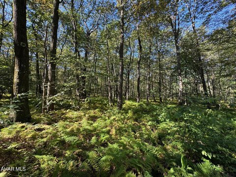 Wooded Land in Bedford County