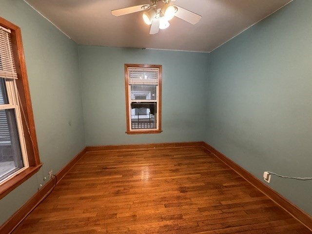 Picture 41