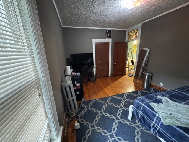 Picture 31