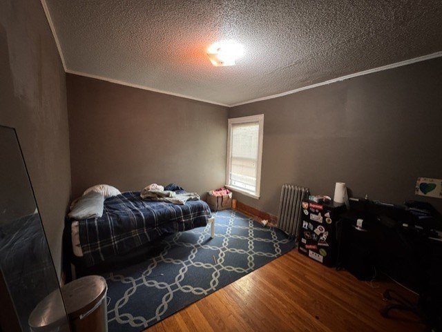 Picture 33