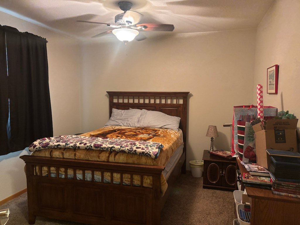 Picture 24