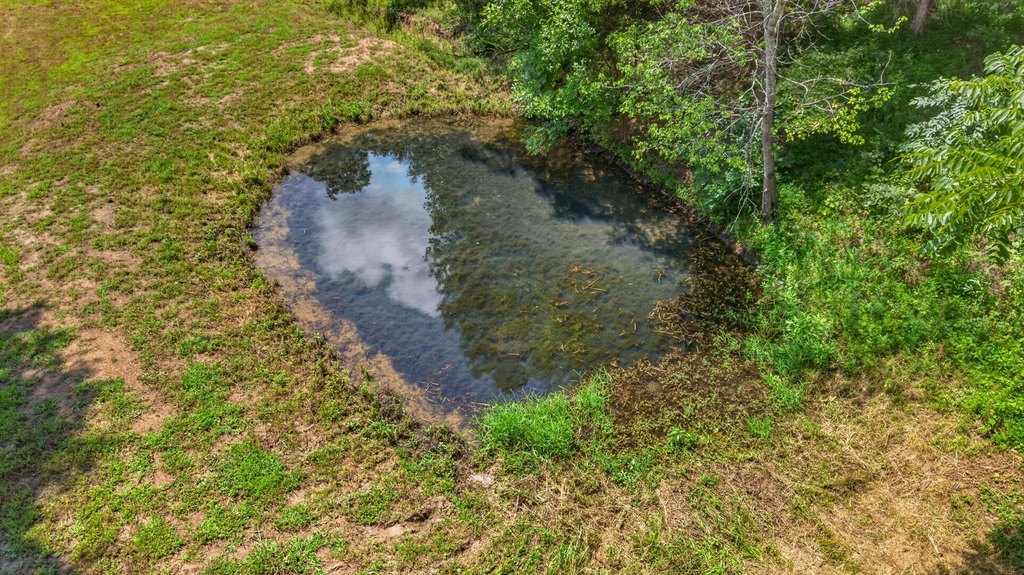 Picture 8