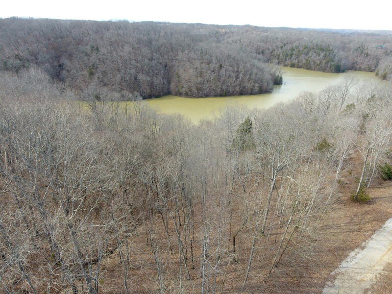 Picture 2