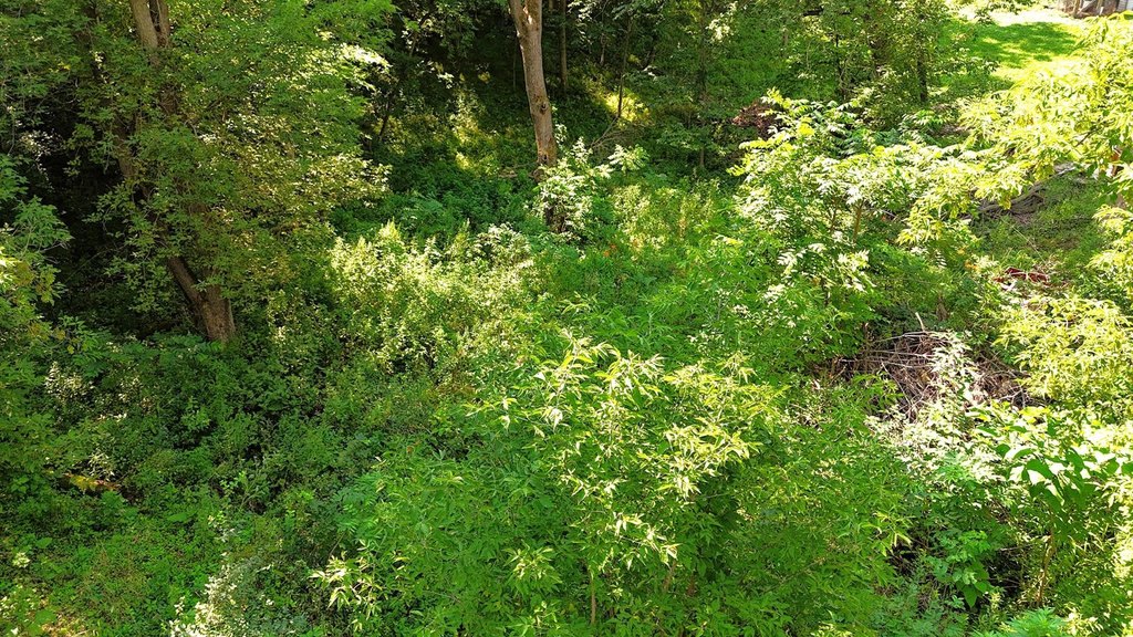 Picture 11