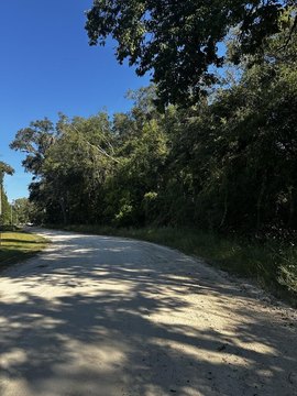 Land, Old Town, FL
