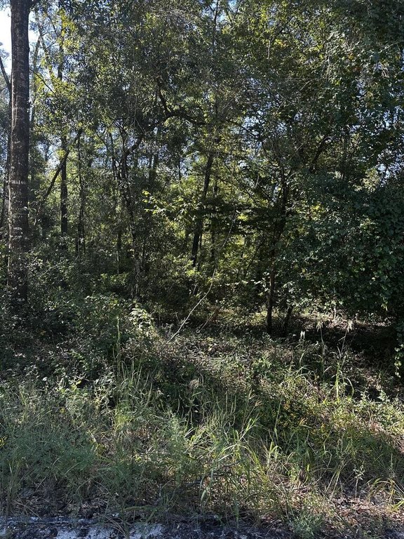 Picture 2