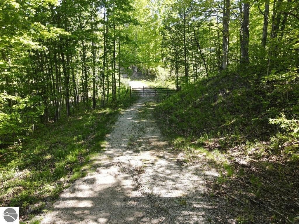 Picture 28