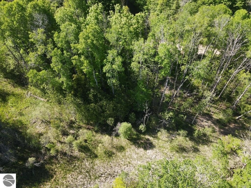 Picture 24
