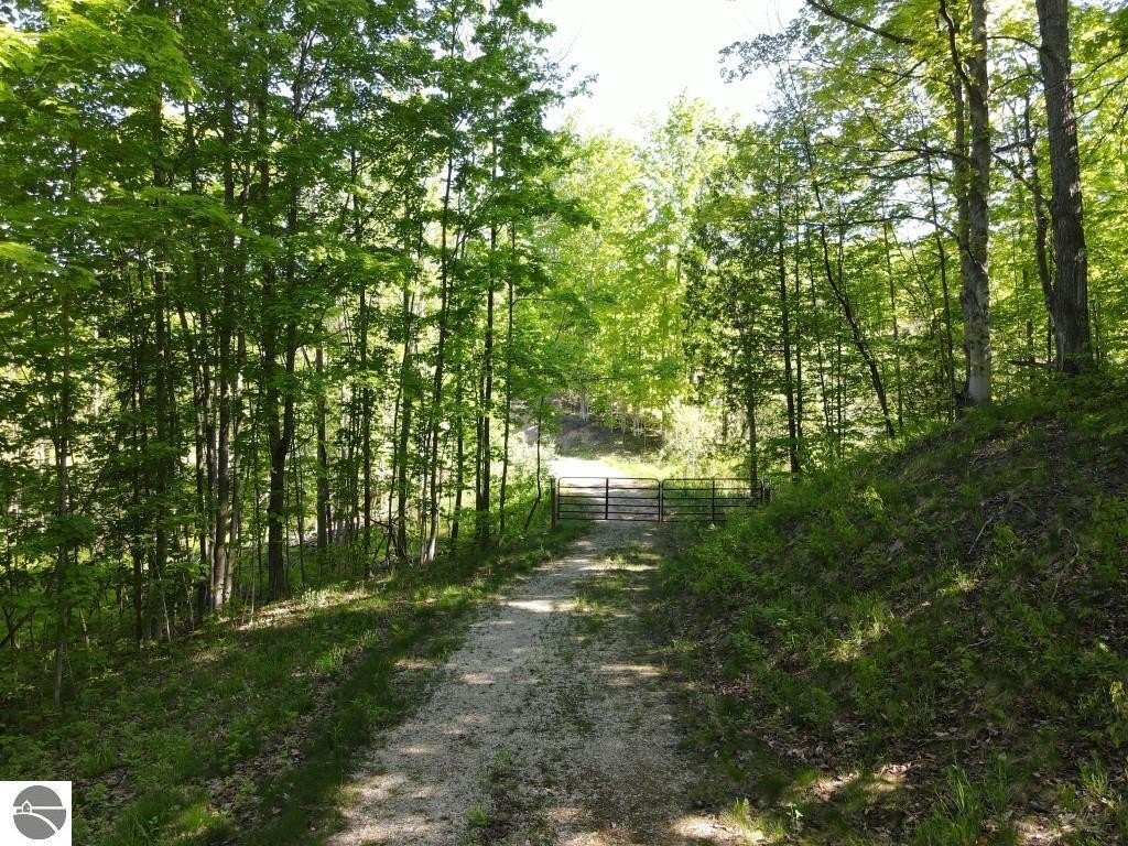 Picture 3
