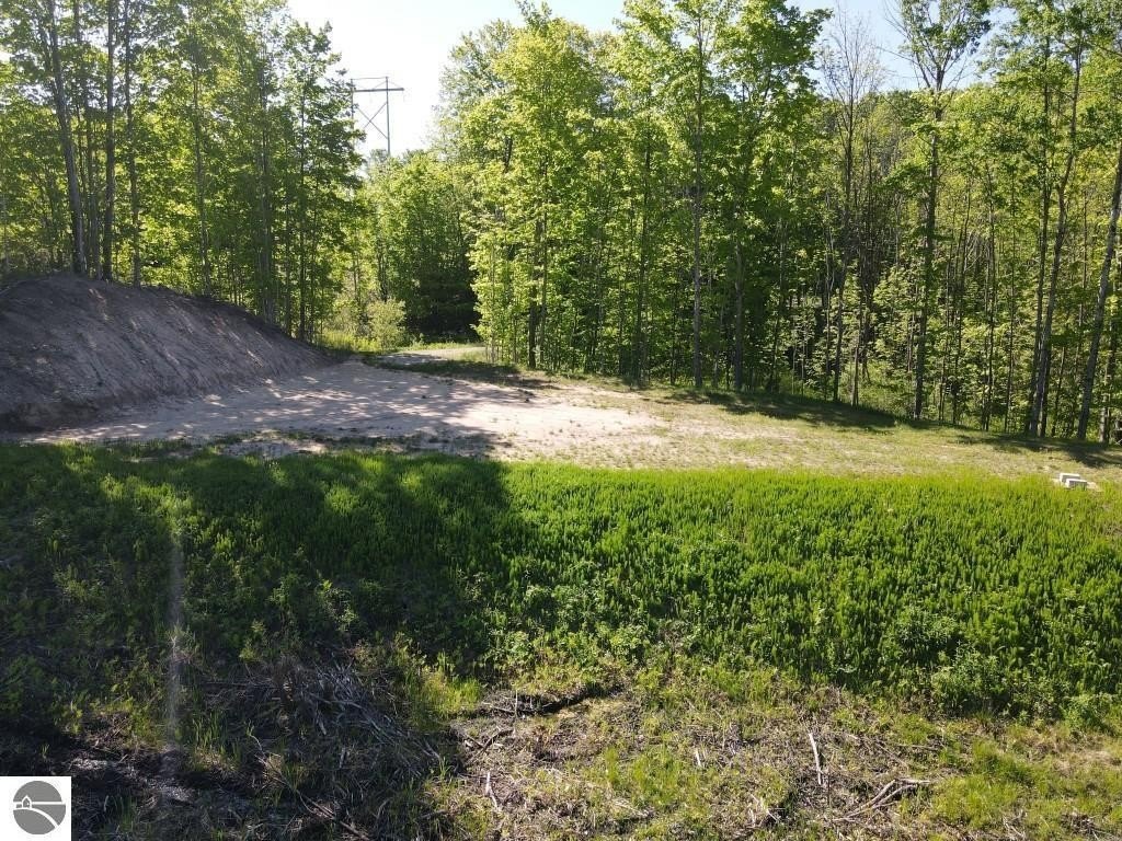 Picture 19