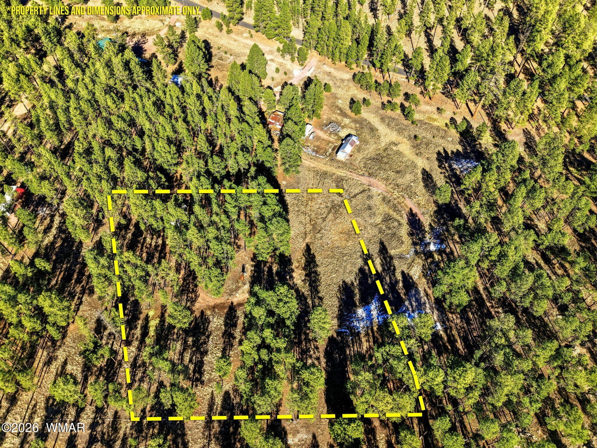 Timbered Land Parcel in Alpine