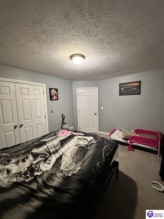 Picture 24