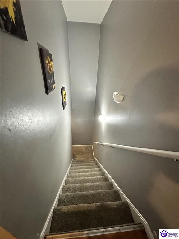 Picture 51