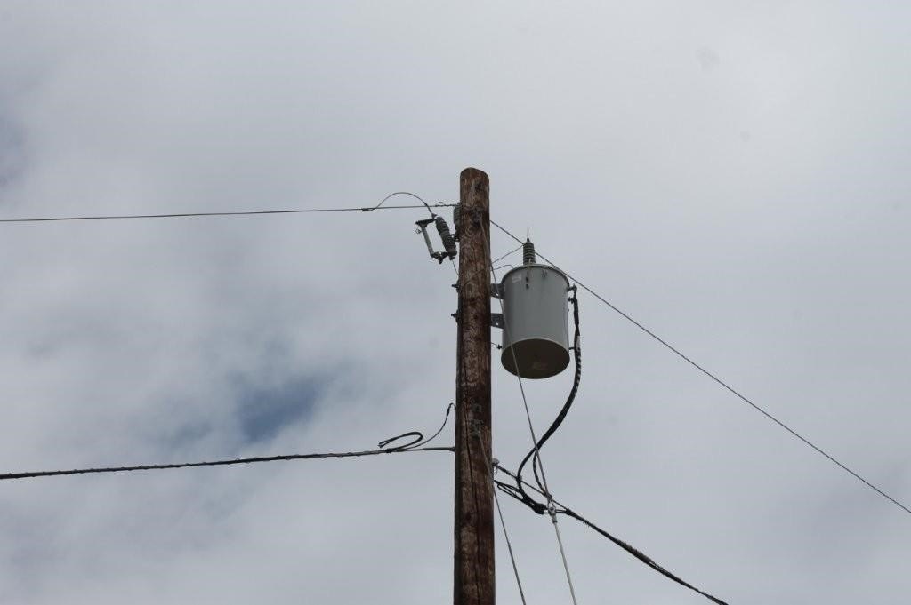 Picture 8