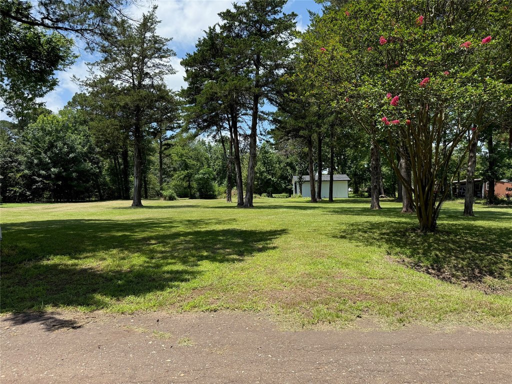 Picture 9