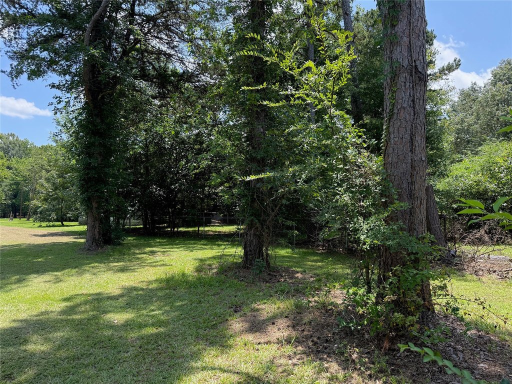 Picture 21