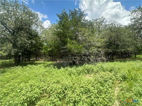 Unrestricted Land in Flatonia, TX