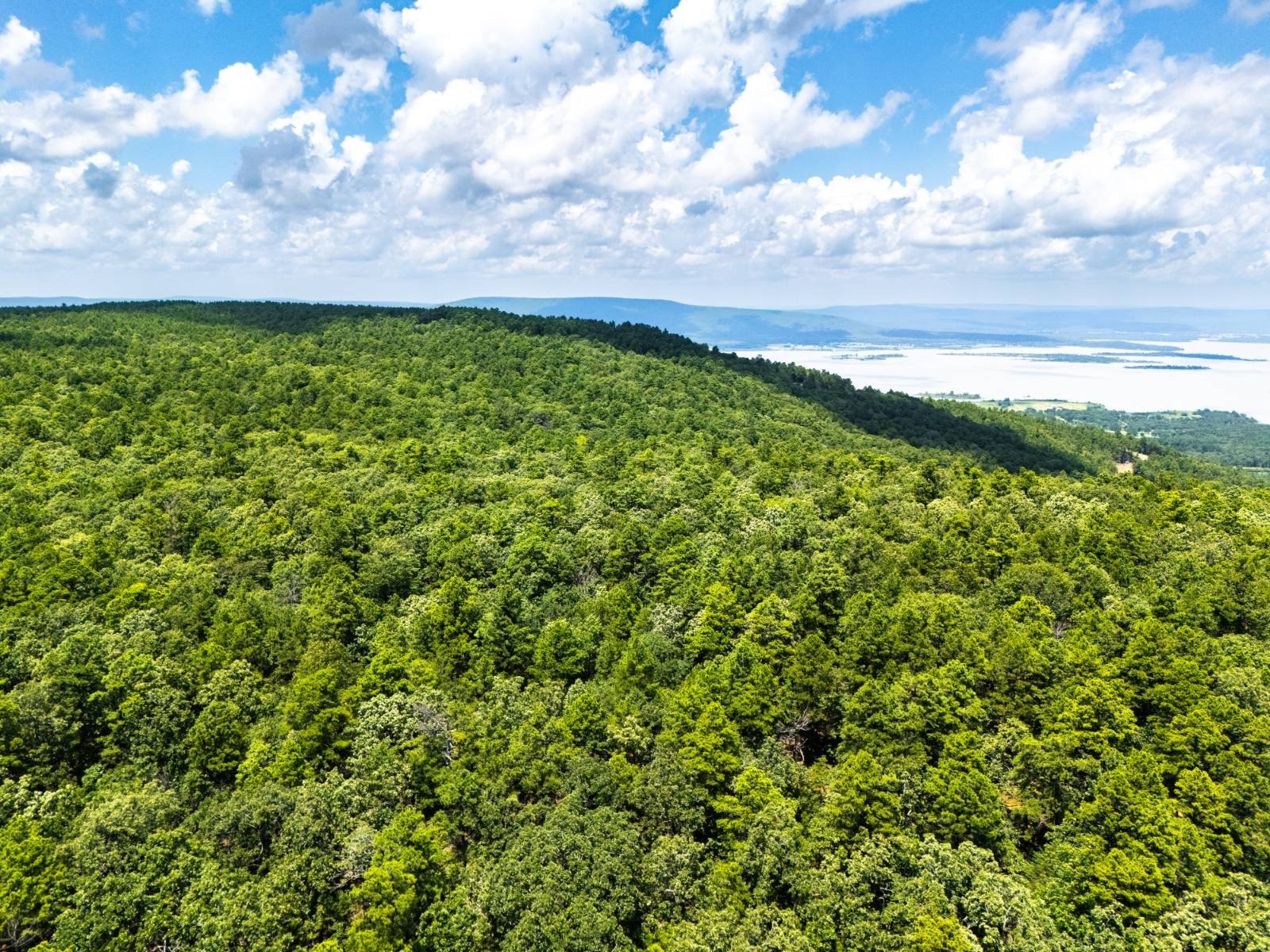 40 Acres of Oklahoma Hunting