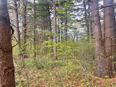 Residential Land in Keeseville, NY