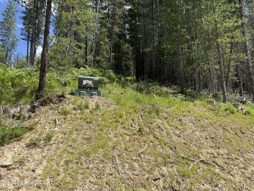 Picture 6
