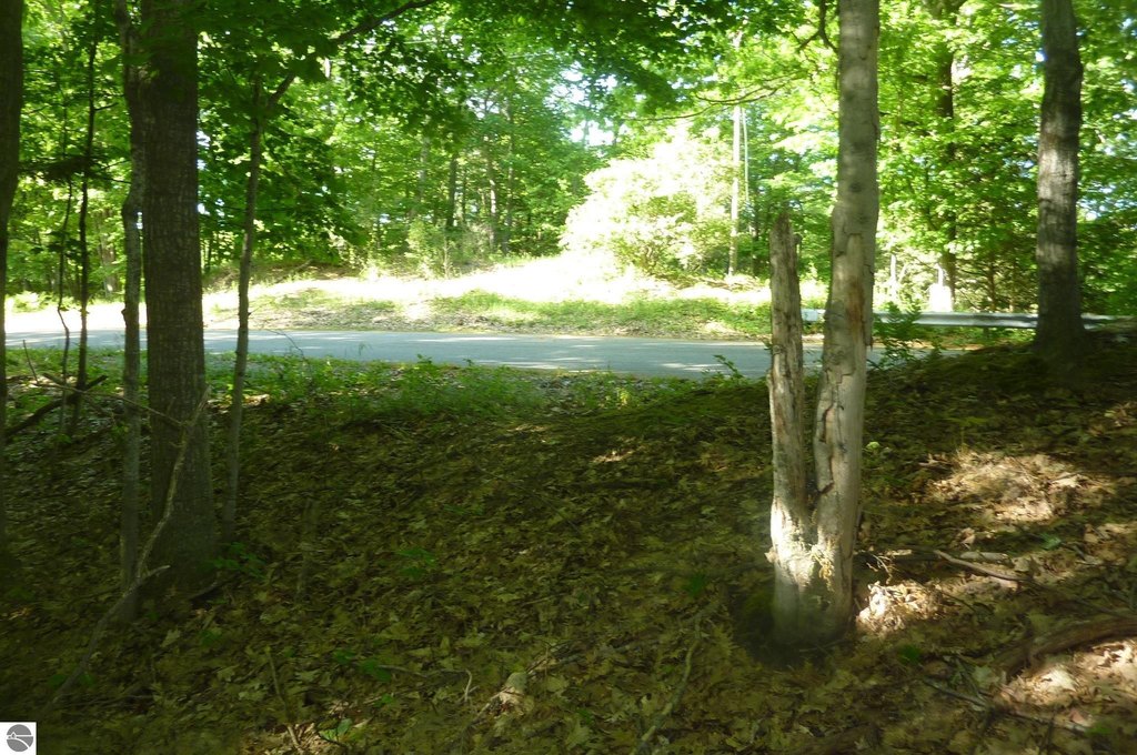 Picture 13