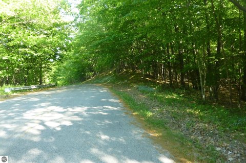 Private Wooded Building Site