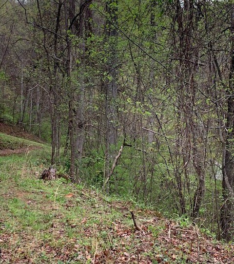 Picture 11