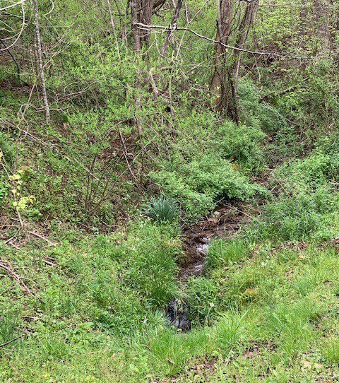 Picture 10