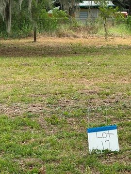 Residential Lot in Mulberry, FL
