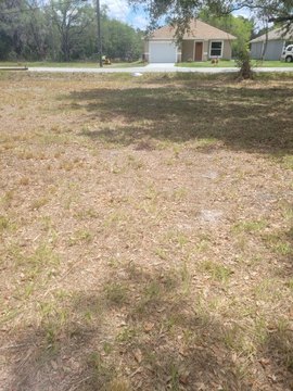 Residential Lot in Mulberry, FL