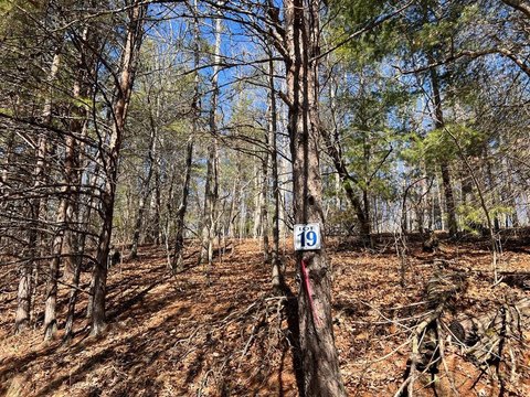LAND - Hayesville, NC