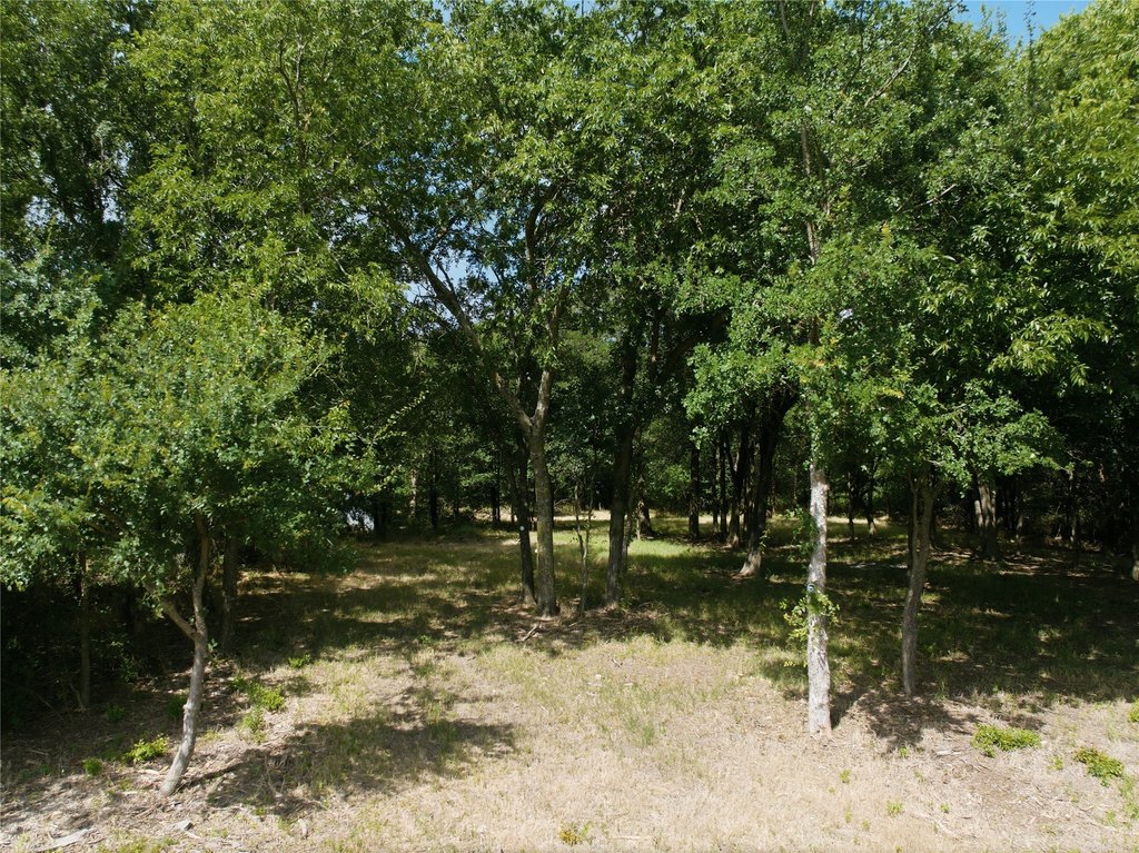 Picture 8