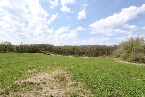 Agricultural Land - Angola, IN