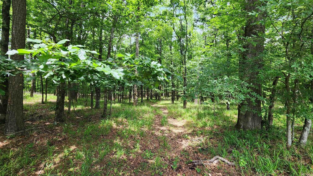 Picture 11