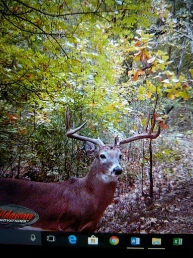 Picture 3