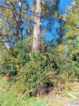Carthage, NY Land For Sale