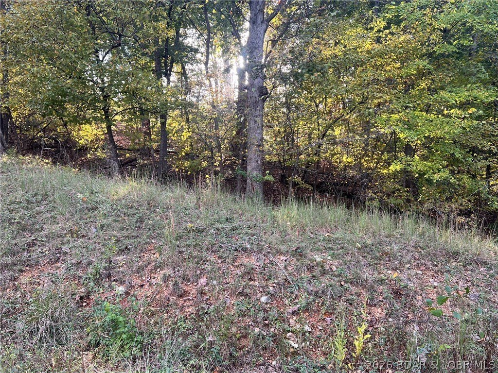 Picture 9