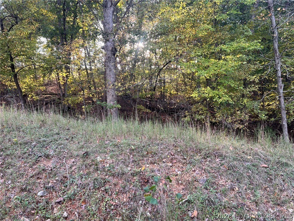 Picture 10