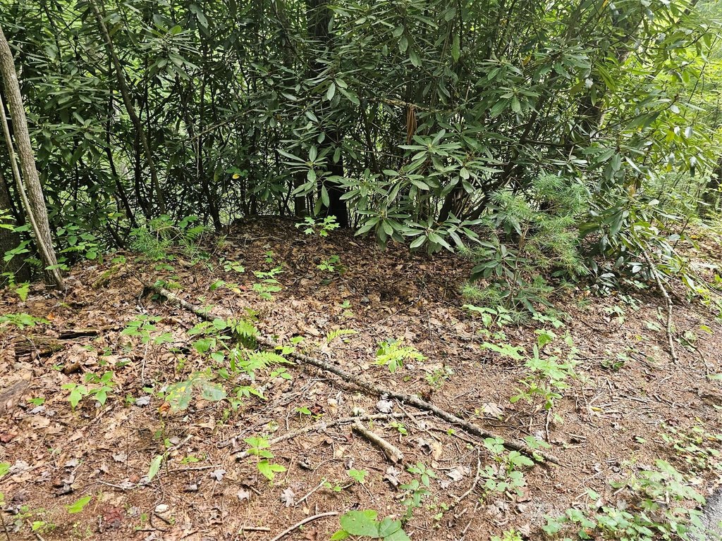 Picture 25