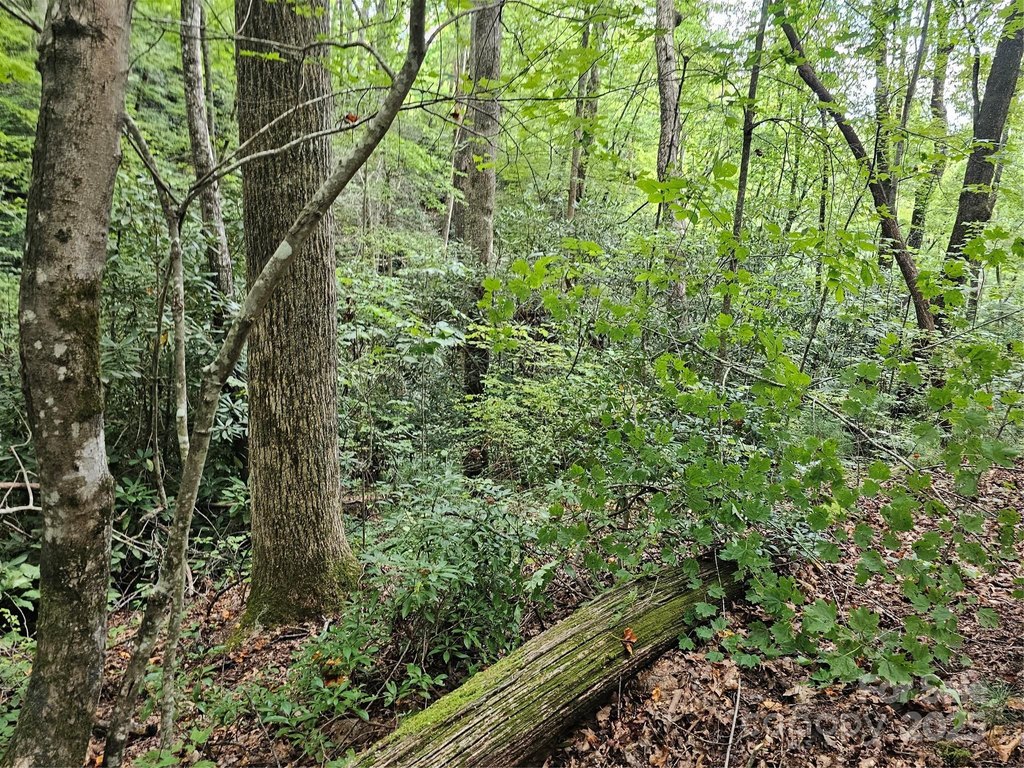 Picture 30
