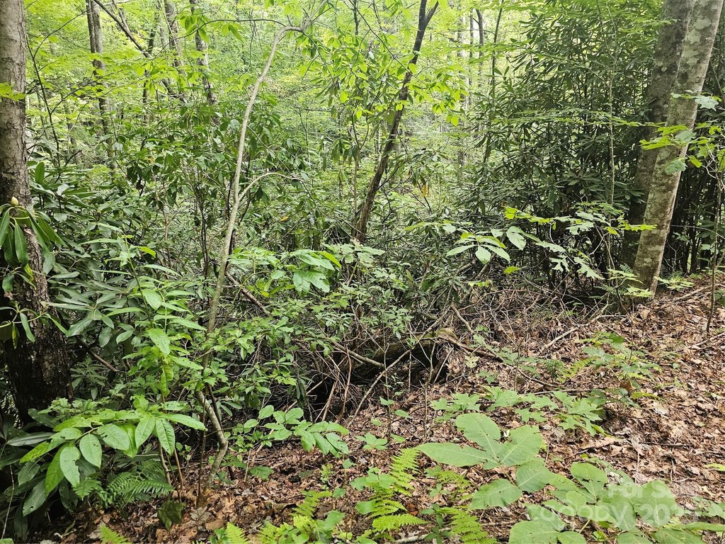 Picture 32