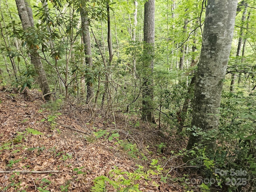 Picture 28