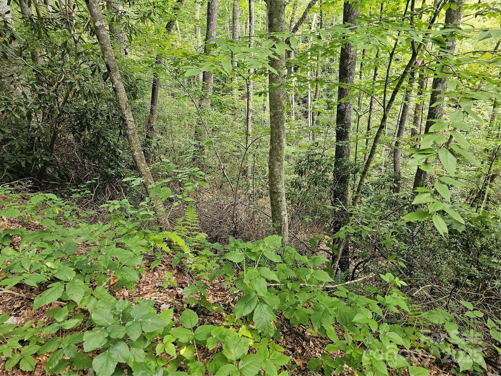 Picture 38