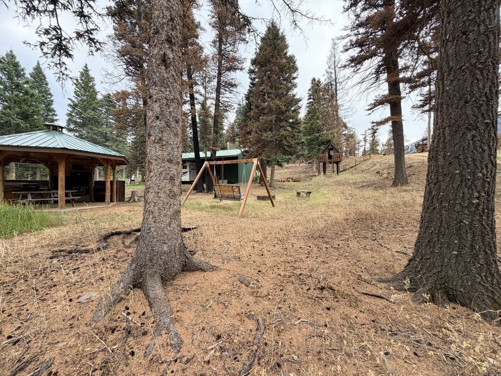 Picture 16
