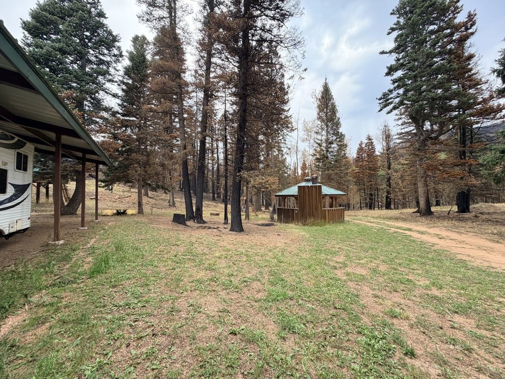 Picture 21