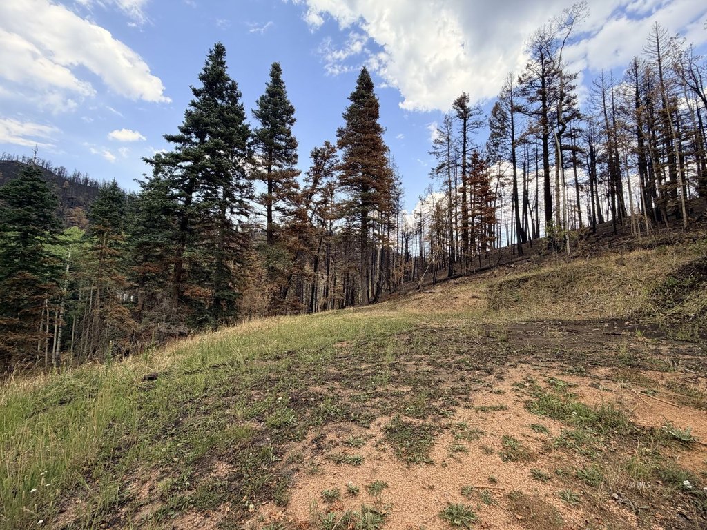 Picture 28