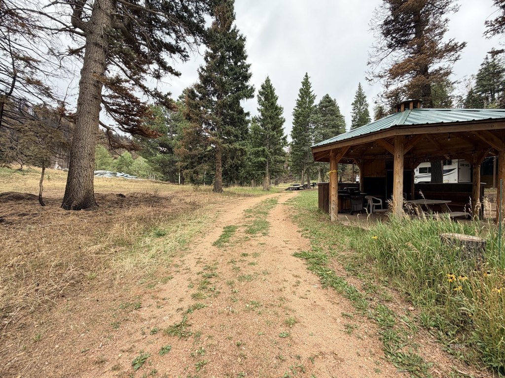 Picture 15