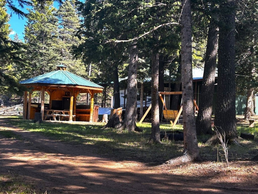 Picture 6