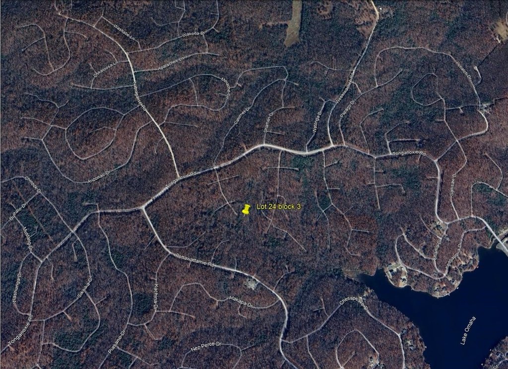 Picture 15