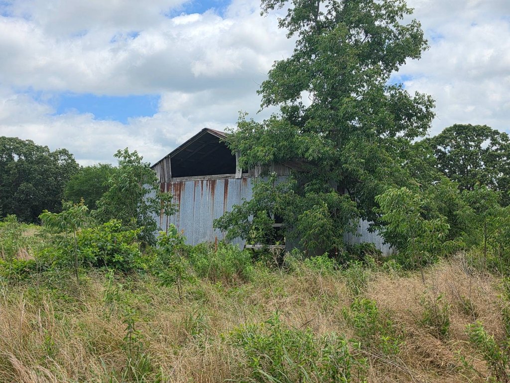 Picture 20